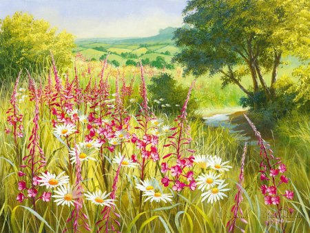 Цветы луговые, художница Mary Dipnall