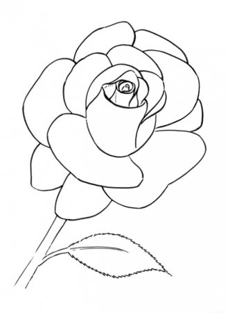 Раскраски для девочек цветы