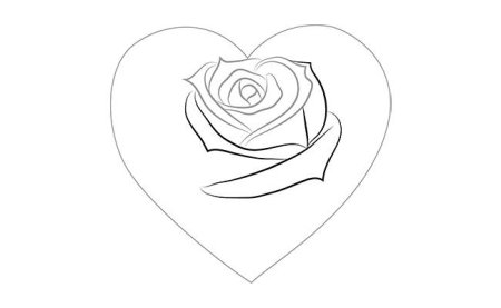 Роза для срисовки