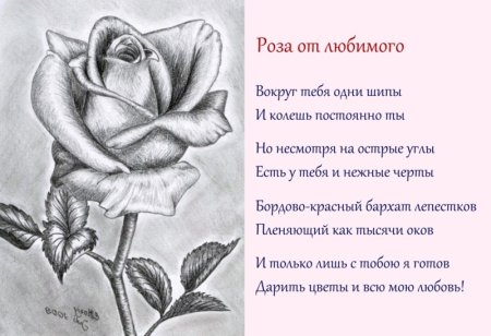 Роза для мамы рисунок