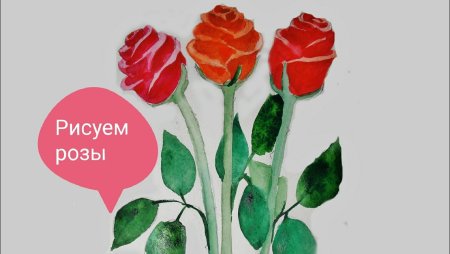 Букет роз цветными карандашами