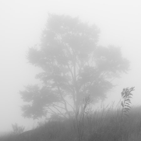 Эстетика серого природа