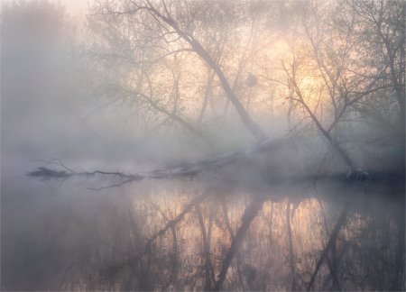 Туман весной