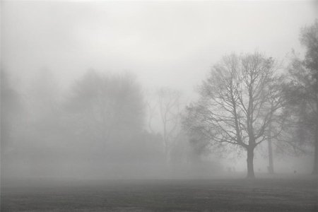 Туман серый густой