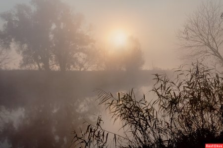 Раннее туманное утро