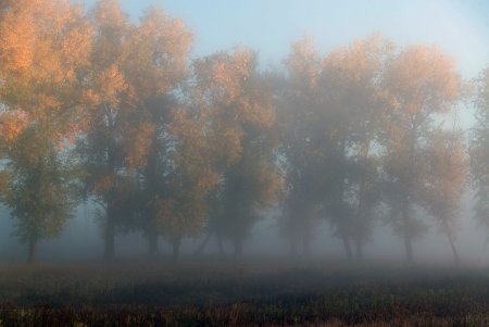 Туман осенью