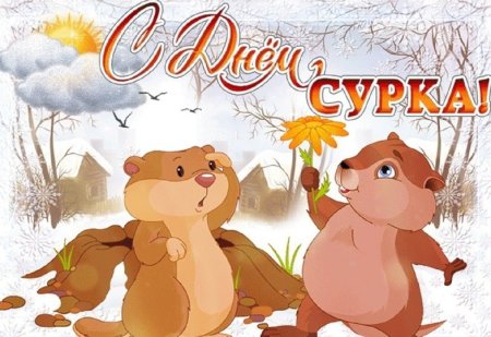День сурка