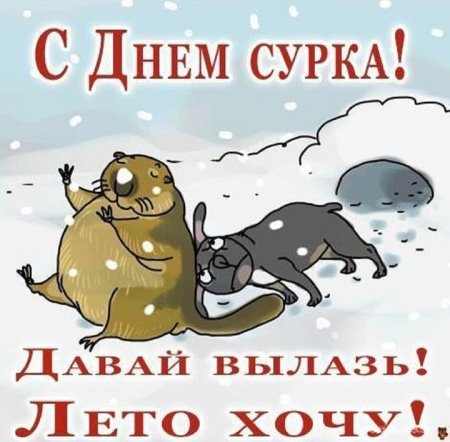 2 Февраля день сурка
