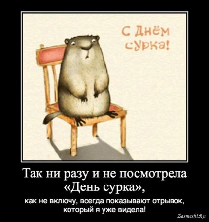 02 Февраля день сурка