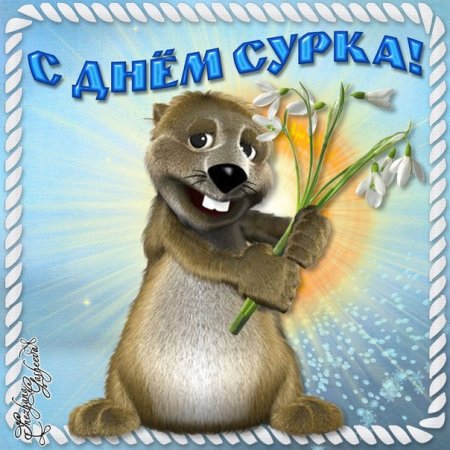 2 Февраля день сурка