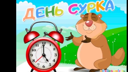 Сурок карикатура