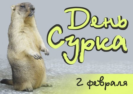 День сурка открытки
