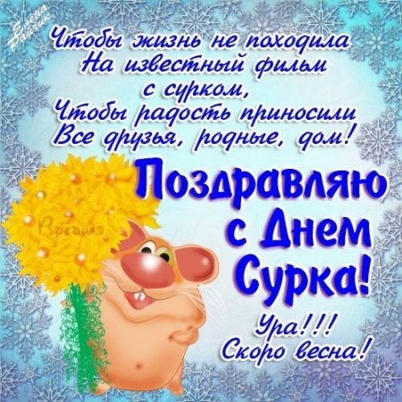 Открытки с днем сурка 2 февраля