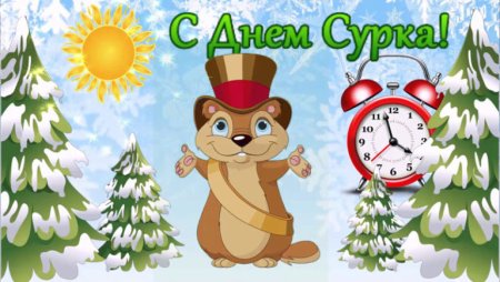 День сурка картинки прикольные