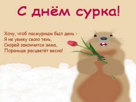 2 Февраля день сурка