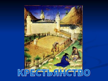 Горожане средневековья и их образ жизни