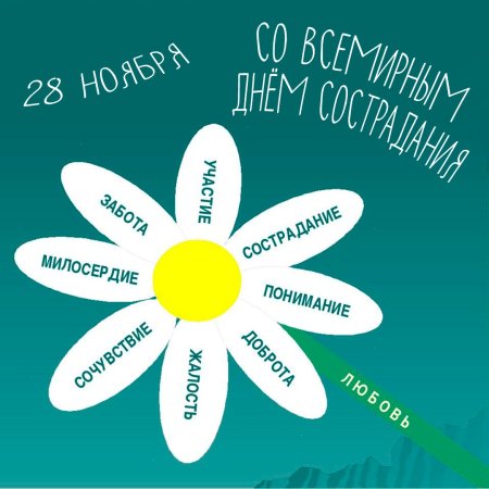 Ромашка милосердия