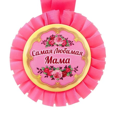 Губернатор Игорь Бабушкин вручил медали «Материнская слава» многодетным мамам