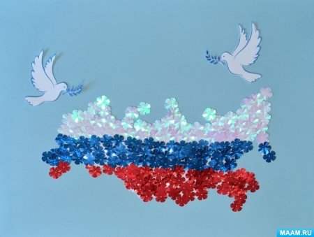 Аппликация российский флаг
