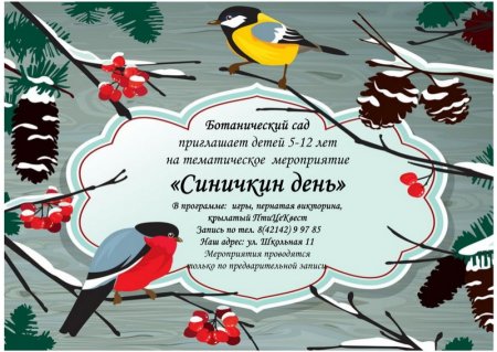 Поделки к Синичкиному Дню в детском саду