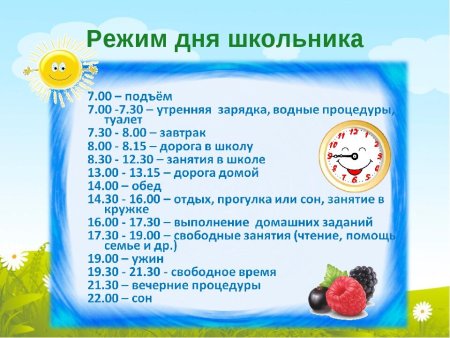 Распорядок дня школьника