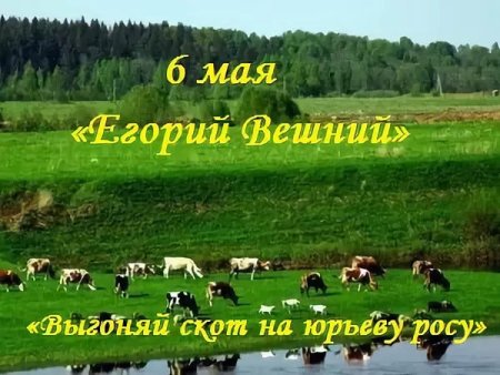 Юрий Вешний, Егорьев день