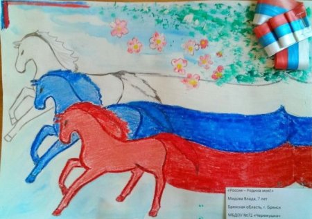 Рисунок наша Родина Россия