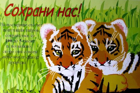 Тигр плакат