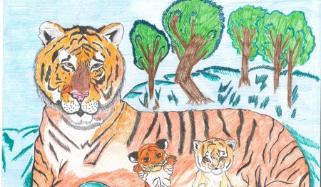 Рисовать Амурского тигра