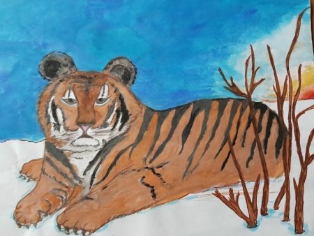 Рисование тигра