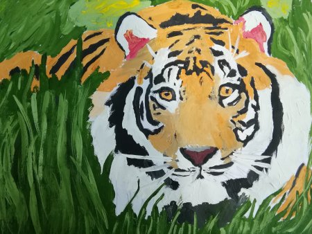 Амурский тигр гуашью