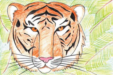 Рисунок на день тигра