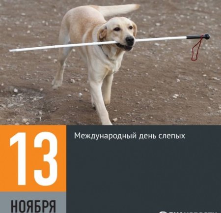 Международный день белой трости день слепых