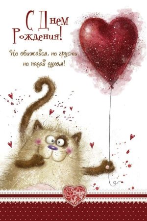 Кот дарит сердце