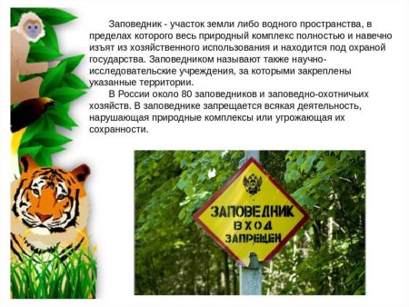 Всероссийский день заповедников и парков
