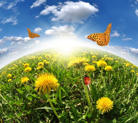 Солнышко с радугой