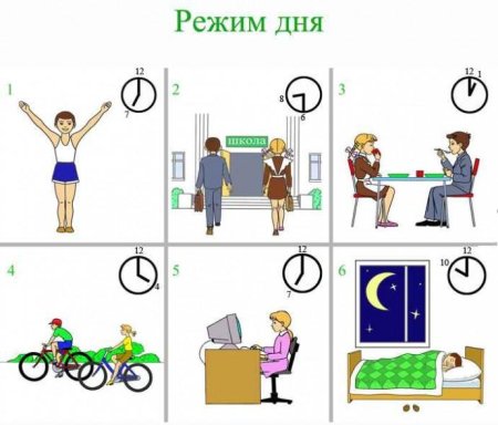 Соблюдай режим дня