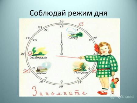 Придерживаться распорядка дня