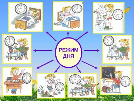 Распорядок дня