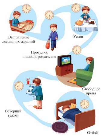 Распорядок дня ребенка