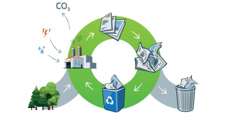 Экология ассоциации