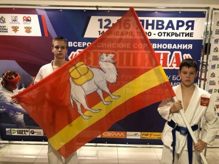 Миасс рисунок