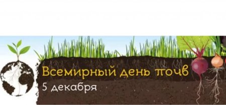 5 Декабря Всемирный день почв