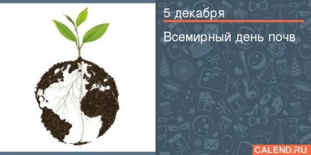 Сообщение о Всемирном дне почв