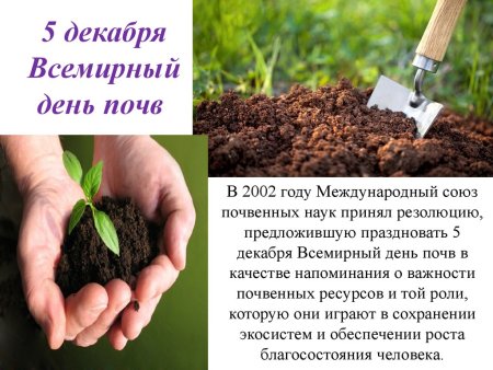 Международный день земли