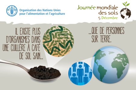 Информация о Всемирном дне почв