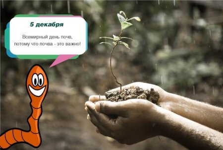 День почвы 5 декабря