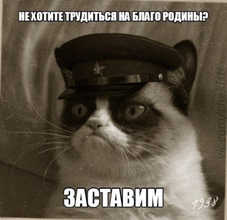 Коты чекисты