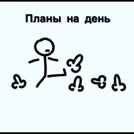Планы на день пинать