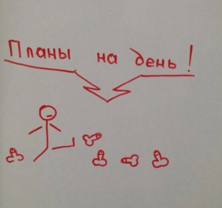 План на день прикол